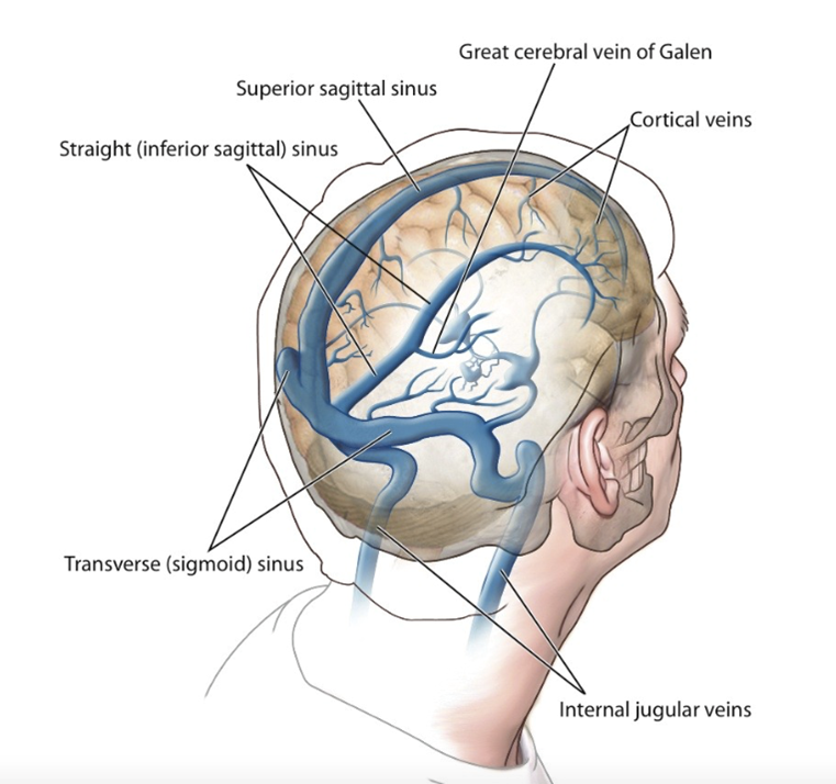 Hướng Dẫn Sử Dụng An Toàn